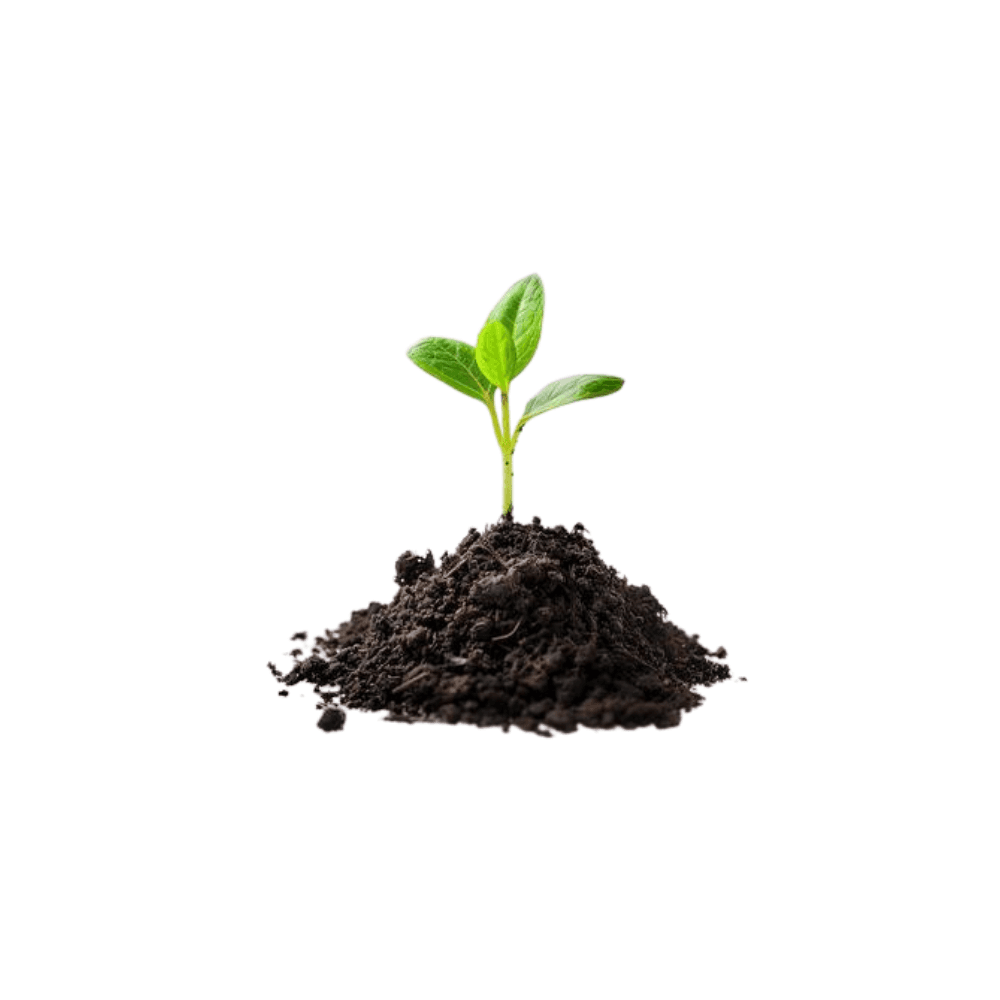 Fertilizer Plants