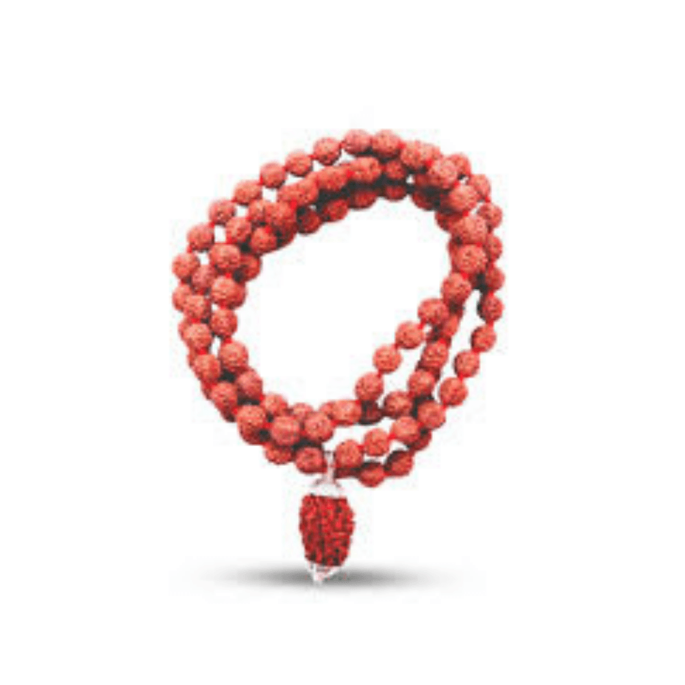 Rudraksha Beads