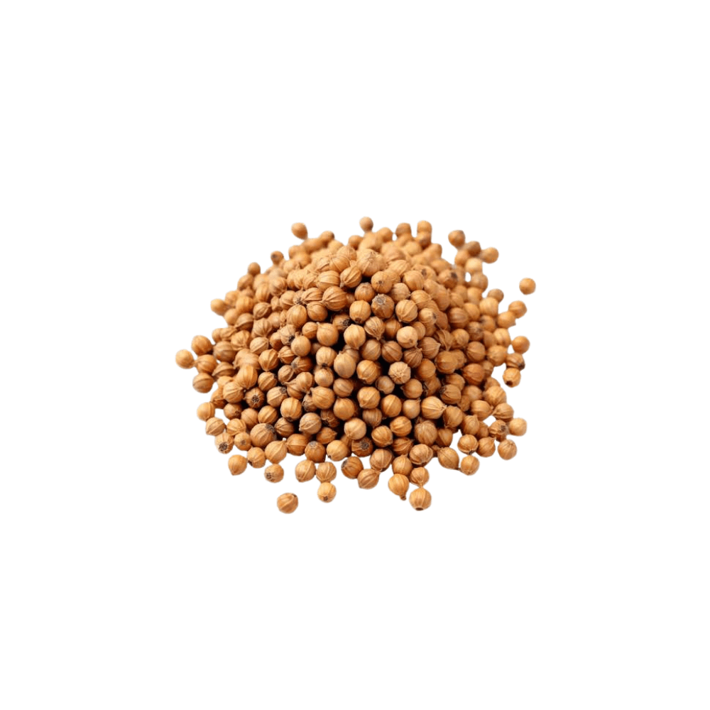 Coriander Seed