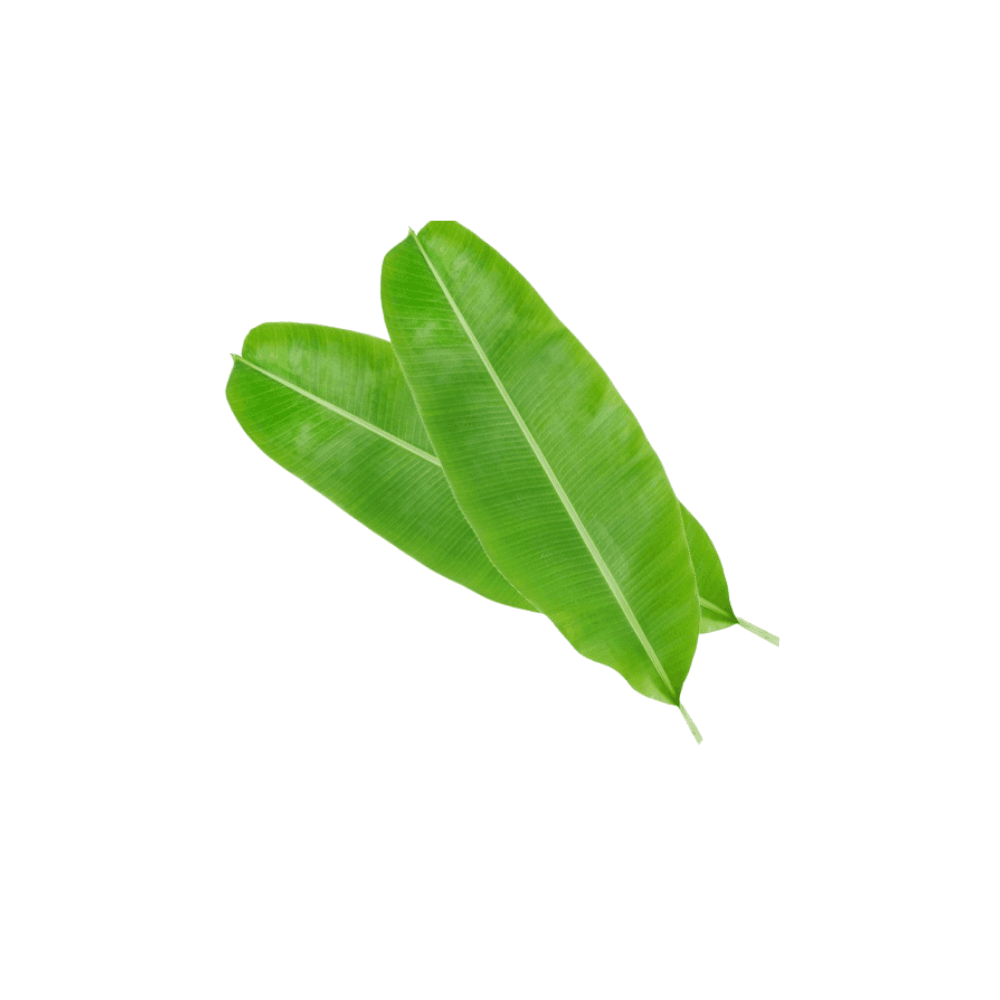 Banana Leaves