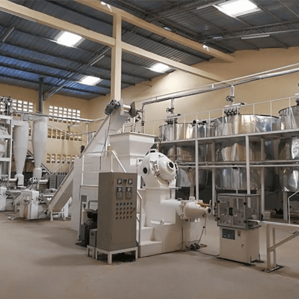 Detergent Making Plant