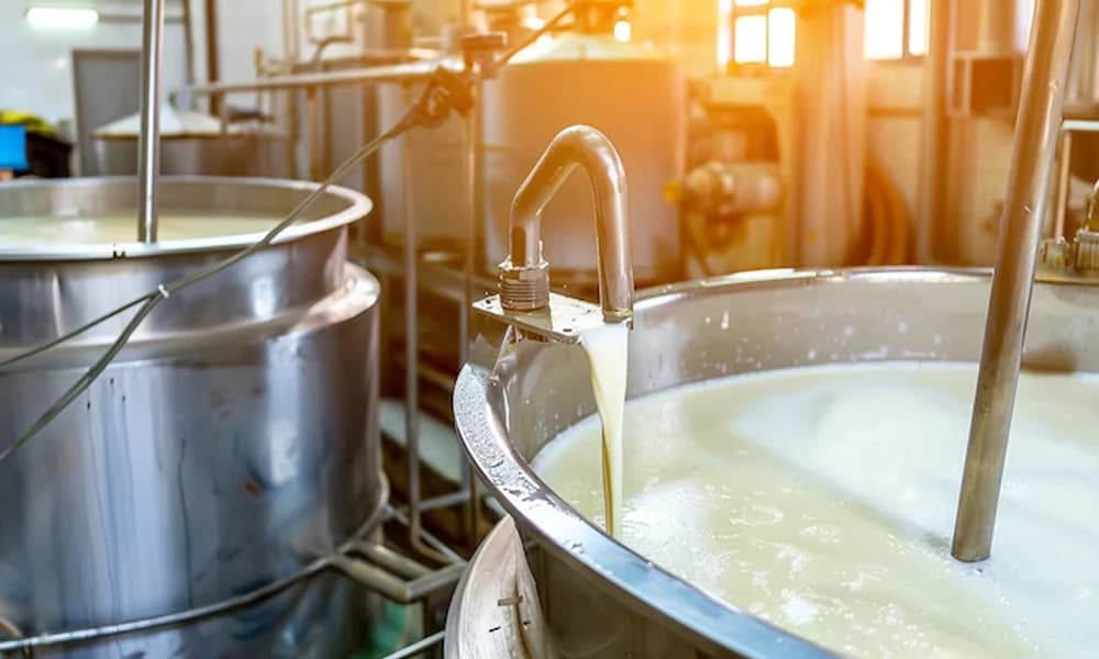 Milk Processing Kettle
